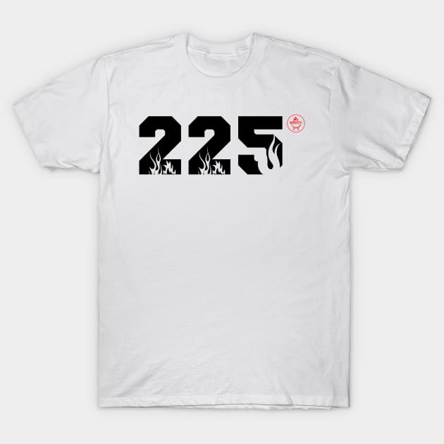 225 degrees T-Shirt by Myartstor 